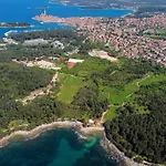 Cuvi