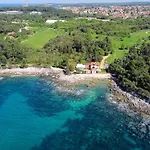Cuvi *