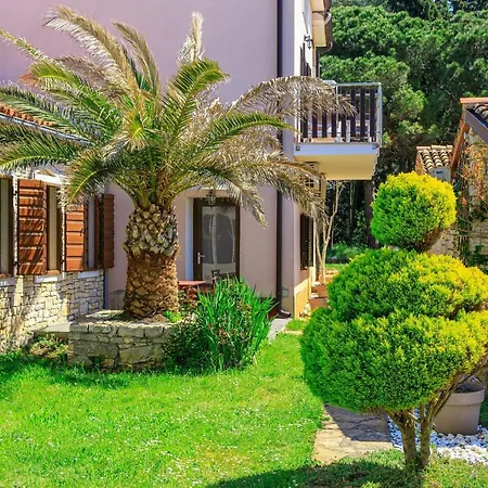 Apartment Cuvi