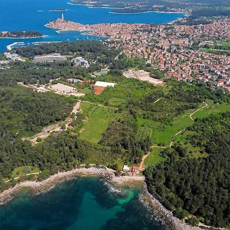 Cuvi