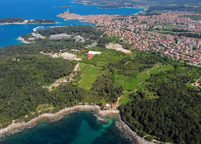 Cuvi