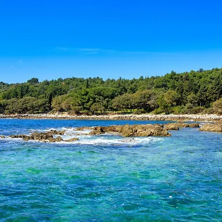 Апартаменты Cuvi